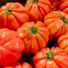 Pomodoro cuore di bue