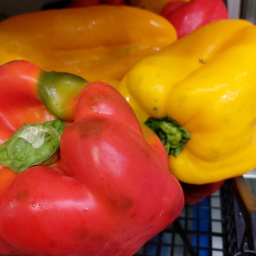 [04108] Peperoni Gialli per kg