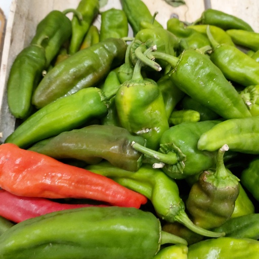 [04109] Peperoni Rossi