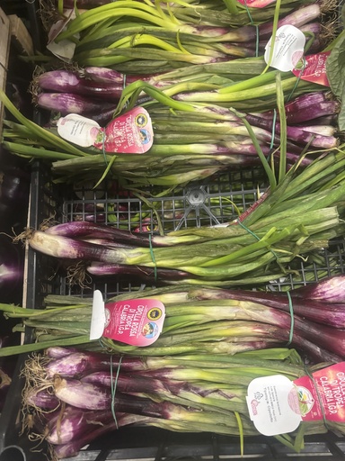 [04118] Cipolla Rossa Tropea