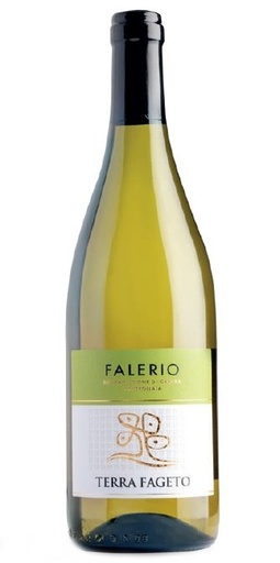 [70000] Falerio doc                TERRA FAGETO