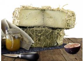 [10189] Latteria di Grotta