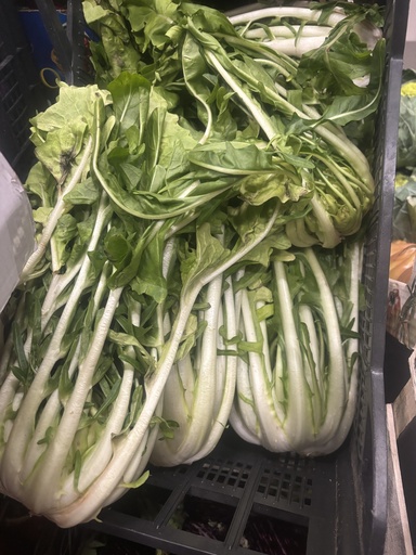 [04129] Cicoria cimata / Puntarelle