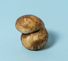 [10207] Scamorza di Bufala affumicata kg.