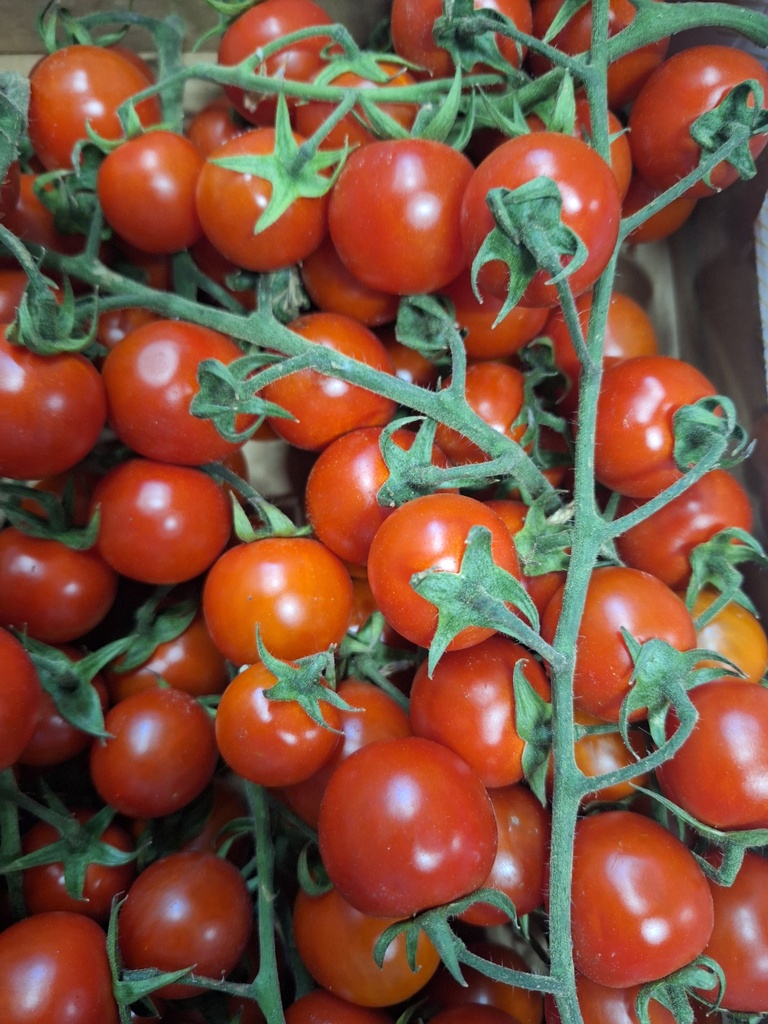 Pomodori Cigliegino Kers tomaat
