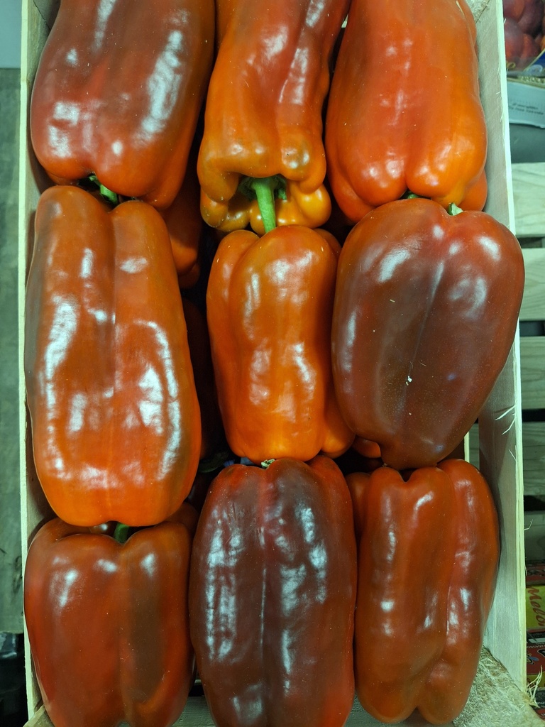Peperoni Rossi Paprika