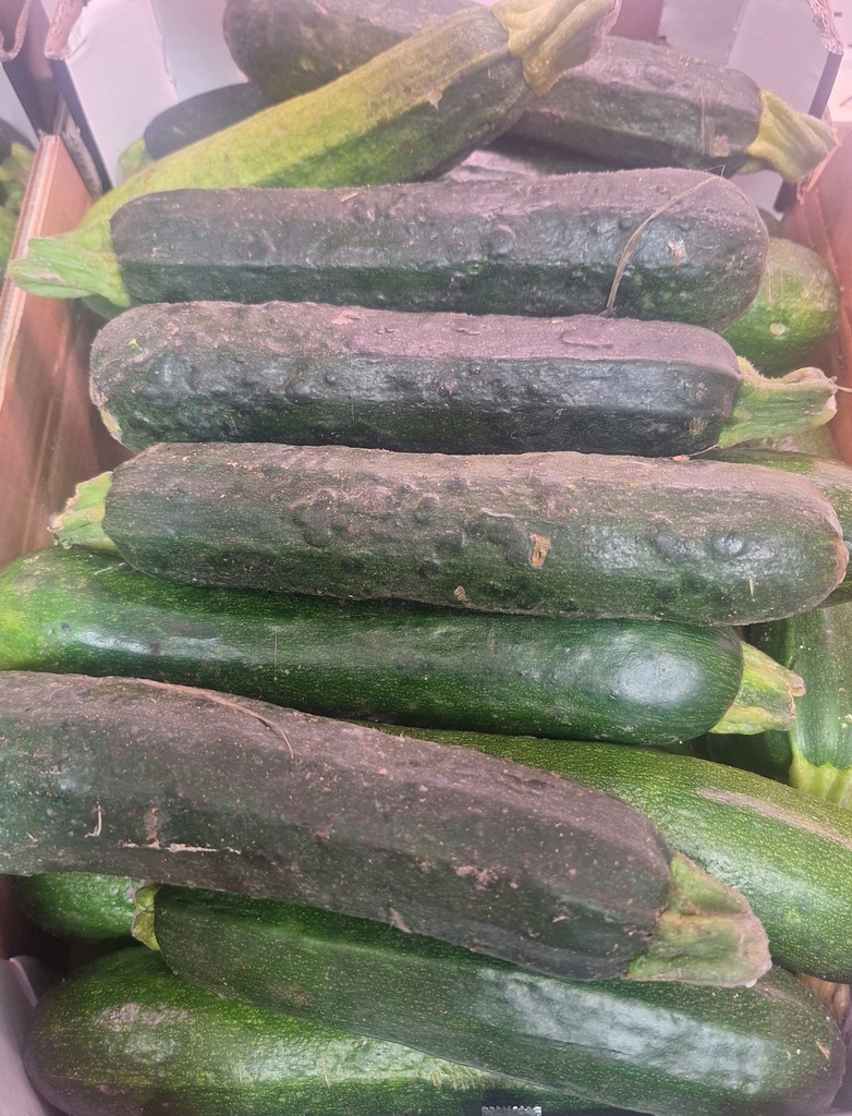 Zucchine / Courgettes