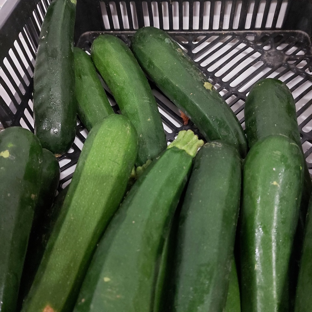 Zucchine Courgettes