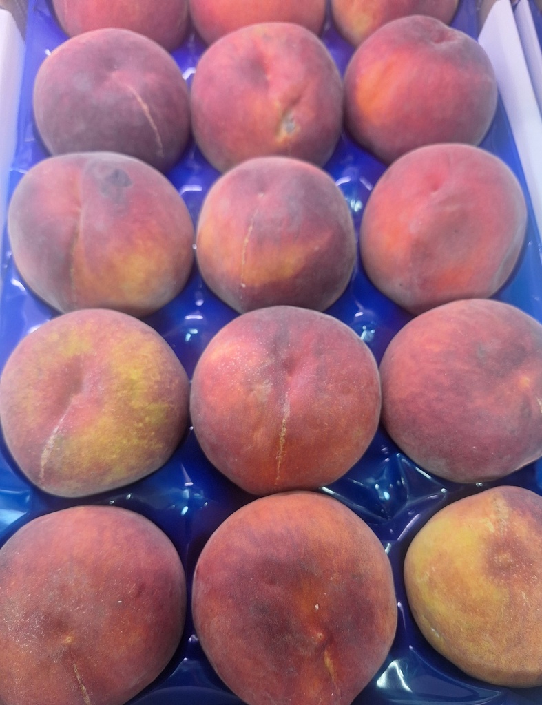 Pesca Gialla / Rossa (groot)
