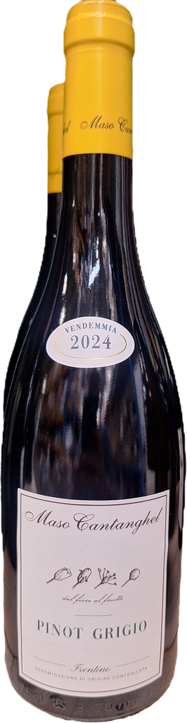 Pinot Grigio BIO  Maso Cantanghel