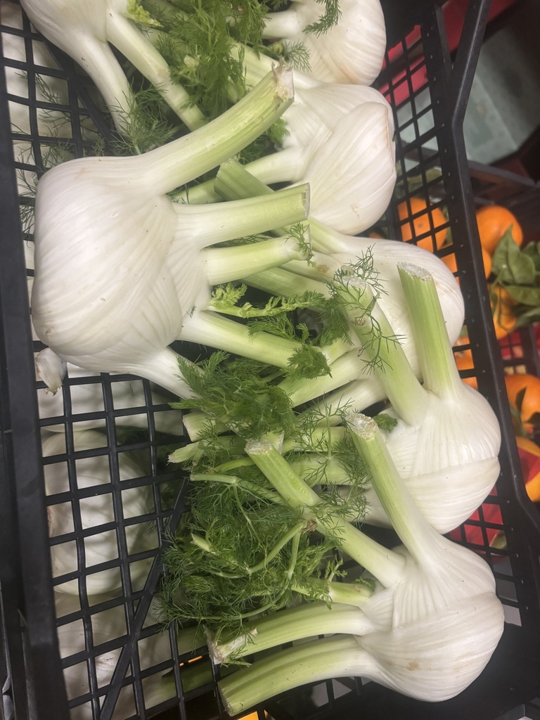 Finocchio per kg