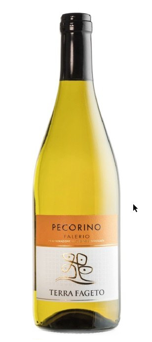 Falerio Pecorino doc            TERRA FAGETO