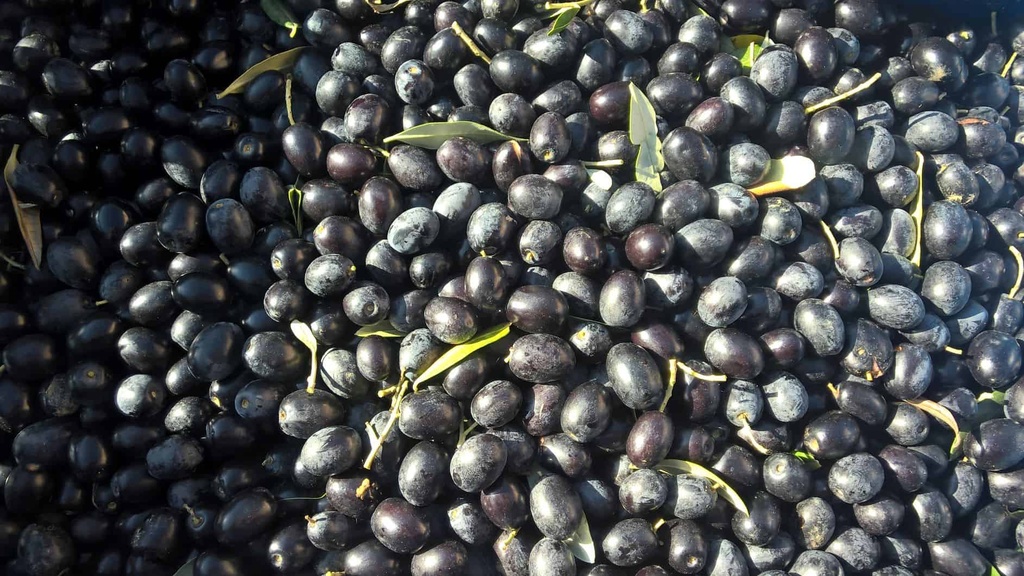 Olive Nere 2kg