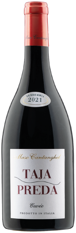 Taja Preda Maso cantanghel