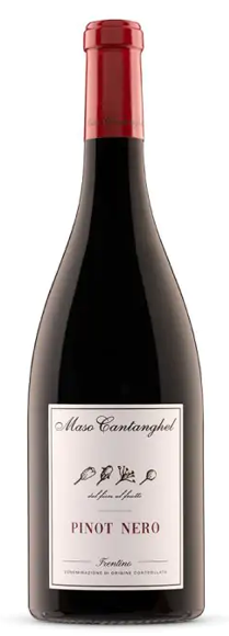Pinot Nero 2022 Trentino Maso Cantanghel