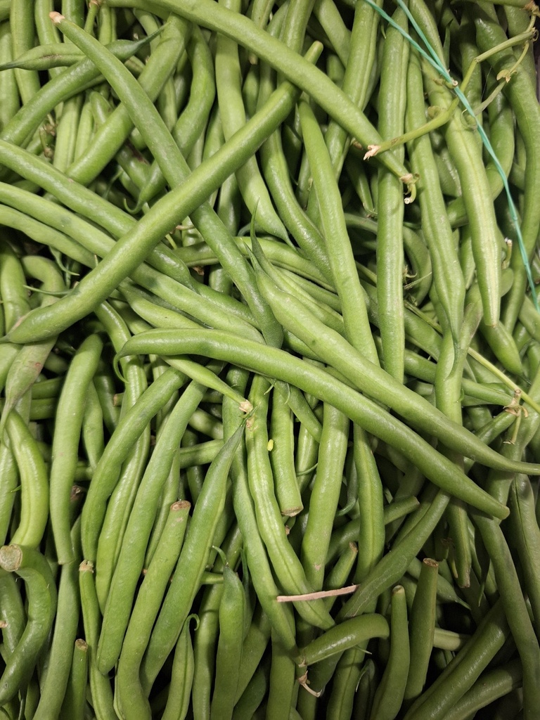 Fagioli freschi