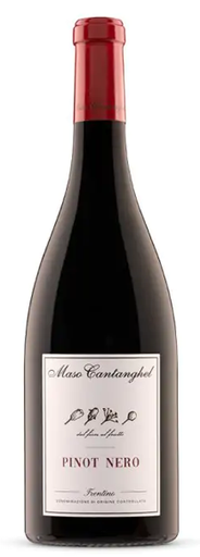 [50130] Pinot Nero 2022 Trentino Maso Cantanghel