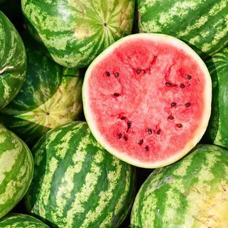 [04307] Anguria  Melone Watermeloen 