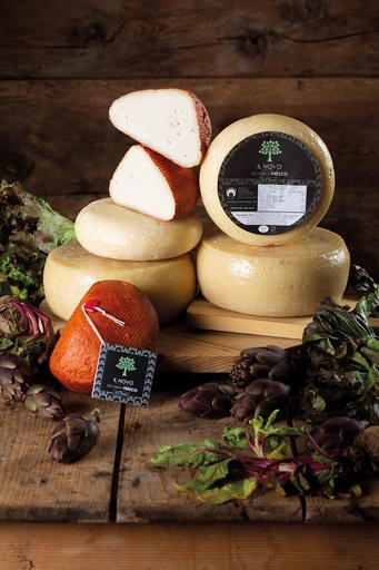 [10229] Il Novo pecorino Fresco